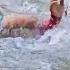 The Girl Suddenly Slipped Into The Stream Luckily Someone Saw And Saved Her