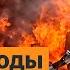 Сотни дронов атаковали РФ Встреча Мерца и Зеленского Новый поворот в переговорах Выпуск новостей