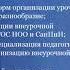 Организация внеурочной деятельности младших школьников в условиях дистанционного обучения вебинар