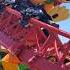 Slinky Dog Dash Rollercoaster Shorts Disneyworld Fun Dog Fyp Wow