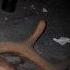 10 DISTURBING Disney Ride Moments EVER