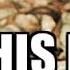 Original This Is Sparta Last Techno Remix Original