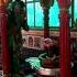 Man Mera Mandir Shiv Meri Puja Trending Mamta Sharma