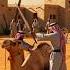 Eid Ul Azha Desert Village Sacrifice Ritual