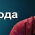 Как отдать правду Шесть ветвей человечества Вера знание и интуиция