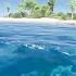 I Got Stranded On An Island