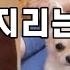 손기술 지리는 서양녀 댓글모음 짤모음
