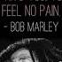 Bob Marley Babylon System Remix