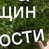 Сила женщин в их слабости Про женственность женщины и мудрость женскую