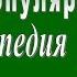 ПОПУЛЯРНАЯ ЛОГОПЕДИЯ серия 4 Нарушения речи коротко о главном