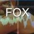 FOX MUSIC 3 Calvin Harris Summer REMIX FOX MUSIC