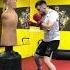 Коронка Конора Макгрегора Лучшее в Инсте Oreh Mma