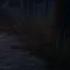 Dead By Daylight First Encounter Assault Jeff The Killer Lobby Music Using It On Legion