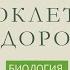 БИОЛОГИЯ ВСЁ ПРОСТО О МНОГОКЛЕТОЧНЫХ ВОДОРОСЛЯХ