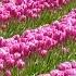 Hudson Thames Feat Hailee Steinfeld How I Want Ya HD 4 Of 13