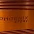8 канальный усилитель DL Audio Phoenix Sport 8 150 для постройке любой системы Dlaudio Amplifiers