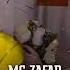 ТРЕК MC ZAFAR ШАБИ НИКОХ 1 ПАХ И РЕП ЮТУБА КАФОНД