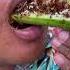 Eating Ants With Cucumber Shorts
