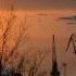 Shostakovich Symphony 7 In C Major Leningrad Op 60 I Allegretto