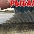 ПОДАРКИ ДЛЯ РЫБАКА что же можно подарить рыбаку в подарок ЧТО ПОДАРИТЬ ПАПЕ ПАРНЮ БРАТУ МУЖУ