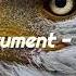 From Instrument Eaglesong No Copyright Music Free Royalty Music