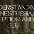 The Mystery Of Consciousness Understanding Anesthesia Perception And The Self Mind Blowing