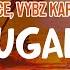 Spice Vybz Kartel Conjugal Visit Lyric Video