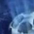 UEFA Champions League 2005 2006