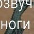 Кто озвучивал Крылья ноги и хвосты 1985