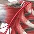 Axillary Artery Location Branches Human Anatomy Kenhub