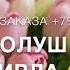 Дала декъала йойла