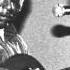 R L Burnside Chain Of Fools