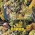 ОЧЕНЬ ОПАСНЫЙ ПРЫЖОК