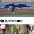 Funny Tom And Jerry Memes 2 Best Memes Compilation Hilarious Memes Daily Dank Memes Shorts