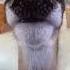 Please Subscribe New Speaker Dogs Memes Funny Shortsviral Animals