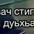 Лаьмнашкахь шовданаш даимна 1енар ду