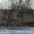 Doibitsa Rivers Burst Its Banks April 2012 Дойбица разлилась