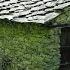 EP 84 Tiny Rustic Upgrades Why Off Grid Life Matters To Us