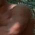 Paul Hertzog Advance Training Kickboxer HD