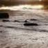 Peter Gabriel More Than This Subtitulada Al Español