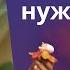 Много мыслей о сексе это нормально