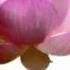 Autogenic Training A Guided Relaxation