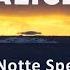 Alice Una Notte Speciale