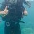 First Time Scuba Diving Best Experience To Have In Life Bollywood Song Music Scubadiving