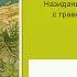 Ибо их есть Царство Небесное Том 1 4 Января FEBG Dinslaken