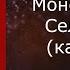Монеточка Селфхарм караоке минусовка