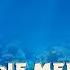 Фоновые мелодии подводный мир Background Melodies Underwater World