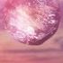 KSHMR No Mondays Divination Official Audio