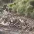 Оползень в Таджикистане видео Сход лавины в Таджикистане