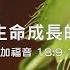EFCLA 洛福教會 2025 0202 攔阻生命成長的陷阱 謝信生牧師 華語